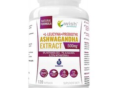 Wish Ashwagandha Extract 500mg 9% Withanolides 120 Capsule